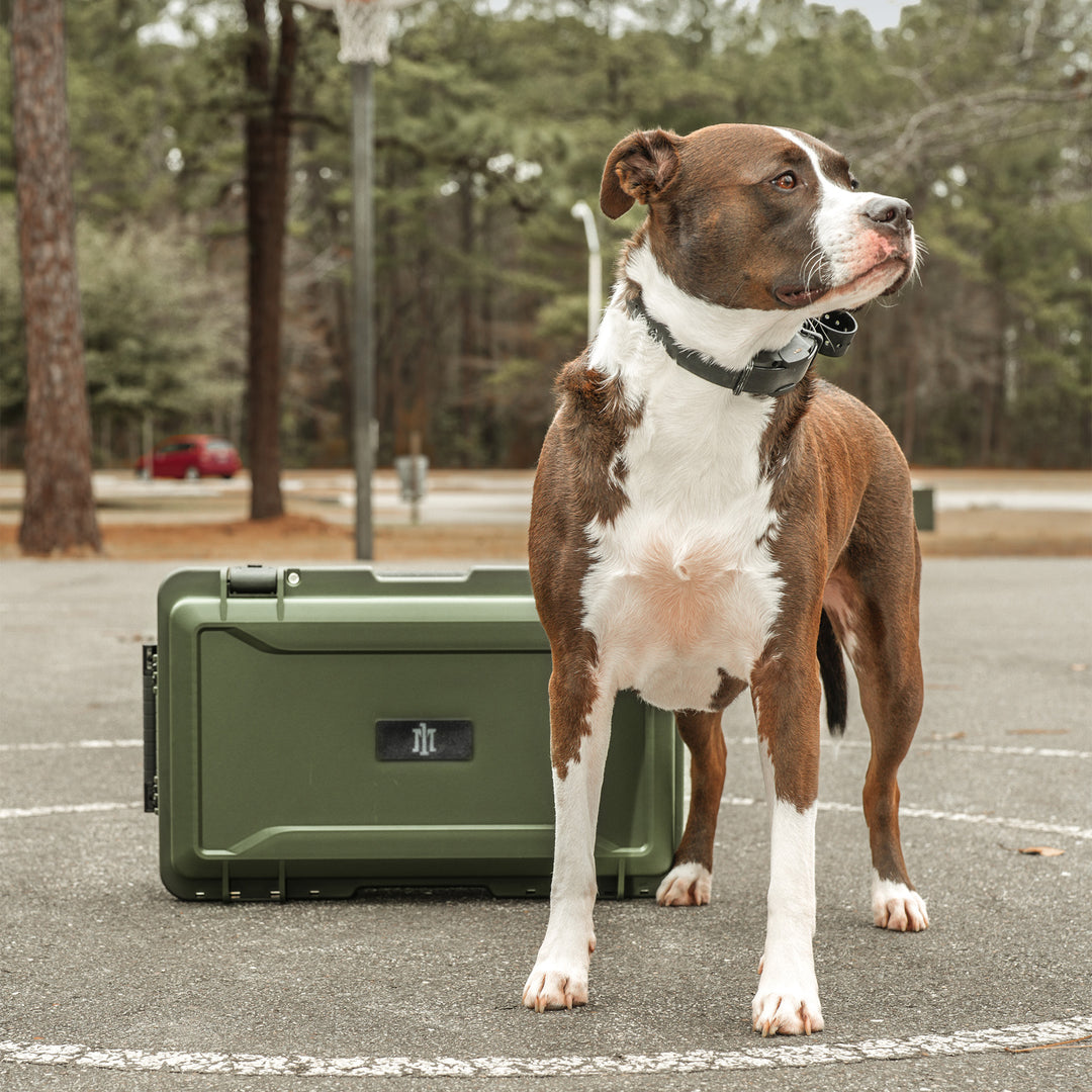 M1 Systems Pistol Case